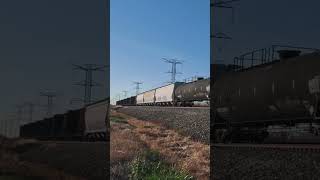 Steam Freight train [upl. by Ronnoc]