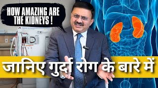 Kidney Function  Kidney Diseases Causes Treatment  Dr Jamal A Khan  Health wealth and lifestyle [upl. by Finella]