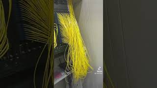 Glasfaser Päckchen zentrale 🤯🧰🪄optical internet fiber electric ￼technical [upl. by Hayikat]