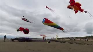 Kite Festival Berrow beach BurnhamOnSeacom [upl. by Mairim]