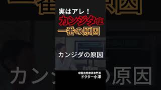 カンジタ原因で一番多いのはアレ。＃カンジタ症 ＃カンジダ原因 ＃カンジタ治し方 ＃カンジタ自分で治す [upl. by Barling221]