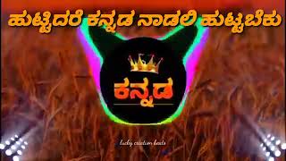 ಹುಟ್ಟಿದರೆ ಕನ್ನಡ ನಾಡಲ್ಲಿ ಹುಟ್ಟ ಬೇಕು  Huttidare Kannada nadalli huttabeku  dj song remix [upl. by Frere220]