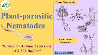 Plant parasitic Nematodes [upl. by Randolf616]