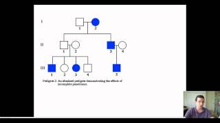 Advanced Pedigree Patterns [upl. by Nylitak]