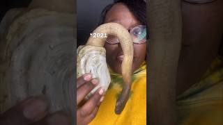 I Tried GeoDuck For The 1st Time [upl. by Neddra]