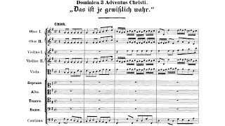 JS BachTelemann  Das ist je gewisslich wahr BWV 141 [upl. by Mikihisa432]