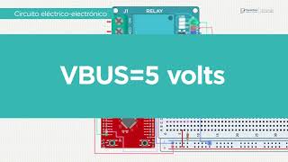 Programador de microcontroladores 17 [upl. by Htezil]