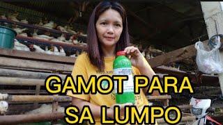 GAMOT PARA SA LUMPONG MANOKPHILIPPINE POULTRY FARMING [upl. by Oinotla]