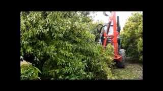 Edge trimmer for pruning orchards Podadora frutales de cuchillas [upl. by Zebulon]