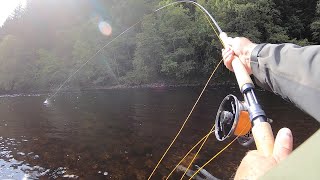 River Tummel 5th Sept 2020 [upl. by Arramat]