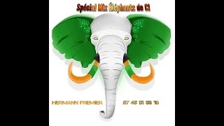 MIX SOUTIEN AUX ELEPHANTS DE CI HERMANN PREMIER 0748018810 [upl. by Onateag546]