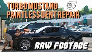 Turbo Mustang Hood Repair  Paintless Dent Removal  Dentless Touch [upl. by Alessig]