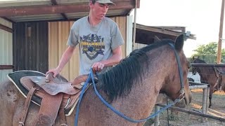 Horse Training  First Ride First Mount [upl. by Westleigh]