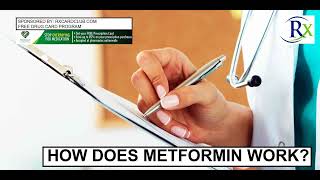 How Does Metformin Work [upl. by Christabel]