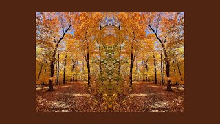 Autumn in Minnesota 2024 Mankato Bluff Park [upl. by Odlonra174]