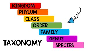 Taxonomy Song  Science Songs for Kids  Animal Classification [upl. by Dagnah]