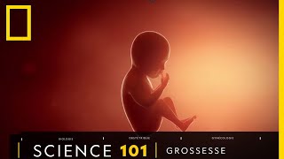 Tout comprendre sur  la grossesse [upl. by Vina]