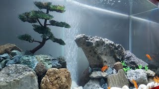 Simple Aquarium Design with Artificial Bonsai Tree  Aquascaping [upl. by Aicirpac]