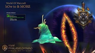 Viscidus Globule Pet from Viscidus in Temple of AhnQiraFury Warrior [upl. by Alieka865]