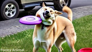 Hilarious Funny Animals Compilation Try Not to Laugh at These Cats and Dogs [upl. by Adyl972]