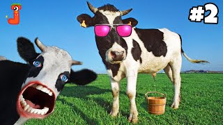 FUNNY COW DANCE FOR GANGAM STYLE 2  Cow Song amp Cow Videos 2024  Funny Cow dance  gaiya  gai [upl. by Oiracam]