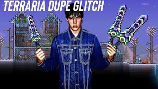 Terraria duplication glitch solo [upl. by Tansy]