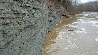 Looking for new fossil exposures Fossil collecting in Ohio Ep 6 [upl. by Annmaria]