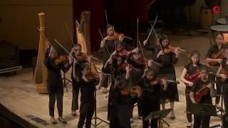 Britten Variations on a Theme of Frank BridgeAria ItalianaDGS String Orchestra [upl. by Bellaude]