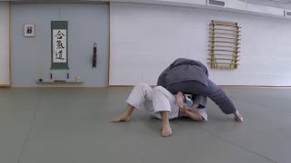 Aikido Unlimited  Escape to Top Control [upl. by Aratak]