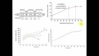 Respuesta Cardio Respiratoria Ejercicio Yanina Zócalo Parte 3 [upl. by Spear]