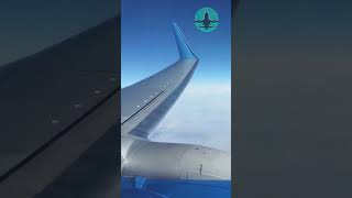 Wing Flex During TURBULENCE SHOULD YOU BE SCARED [upl. by Rehpotisrhc]