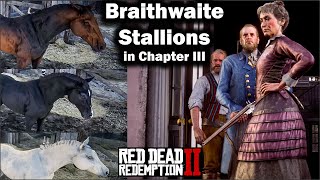 Get a Braithwaite Stallion in Chapter 3Turkoman Black or White Arabian  a 2021 Guide  Red Dead 2 [upl. by Yssenhguahs]