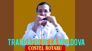 ✅Trandafir de la MoldovaampInstrumentală MuzicuțăCostel Rotaru [upl. by Rog]