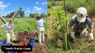 Pierce Conservation District – Puyallup WA – June 24 to August 2 2024 [upl. by Eisoj84]