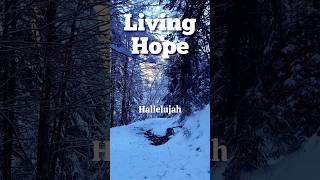 Living Hope  Hallelujah bible worship gospel [upl. by Hedve440]