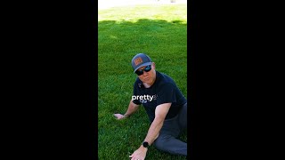 Avoid THIS Mistake When Cutting Grass [upl. by Buine]