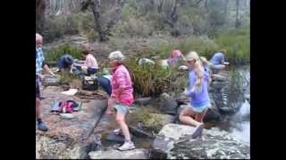 Digging for sapphires at the Bottom End Yarrow Creek Glen Innes NSW Australia [upl. by Seiuqram606]