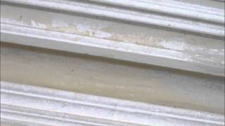 Plastering How to Run a Cornice Mold  Freehand  Hawthorn Plaster Repairs [upl. by Trebleda]