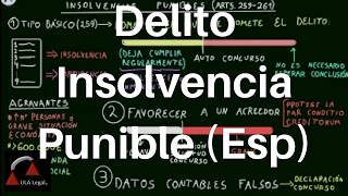 Delito de Insolvencia Punible Esp [upl. by Rikki]