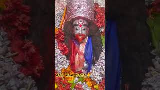 Jai maa Tara 🙏maa taramaa highlights look  song taramaa short [upl. by Akcimehs]