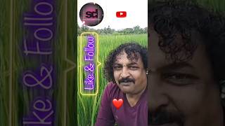 ondanondu oorali vijayprakash ytstudio kannadasong subodhdevaraj 🔥🌹💥 [upl. by Sseb890]