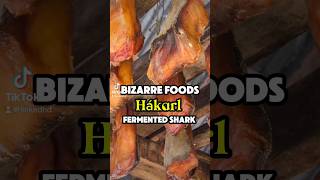 Weird Foods Hákarl Fermented Shark hakarl weirdfood iceland weird [upl. by Ttemme]