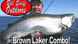 Huge Shoreline Brown amp Laker Lake OntarioSaiff Charters [upl. by Hsreh]