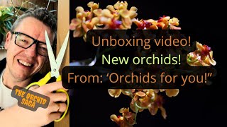 Unboxing new Orchids from Orchids for you [upl. by Nadiya]