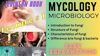 Mycology  Microbiology  Intro to Fungi  MBBS  lecture 1 [upl. by Lyram]