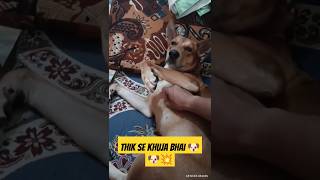 DollerLife DOller wants to KHUJLI💥💥💥🐶 doller life DOller funny video [upl. by Munsey]