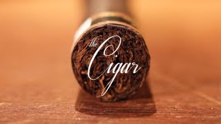 The Cigar An Introduction [upl. by Olsson]