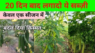 20 नवंबर तक लगादो ये सब्जी 👍💥 केवल 1 सीजन में बदल देगी किस्मत  November Me Sabji Ki Kheti [upl. by Iamhaj625]