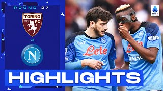 Napoli  Torino  53  Highlights  Giornata 17  Serie A TIM 201617 [upl. by Erdrich]