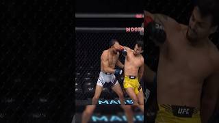 BRASIL NO TOPO Nocautes Brasileiros UFC [upl. by Astor736]